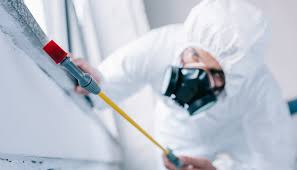 Best Residential Pest Control  in Oakton, VA